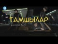 Tamshylar