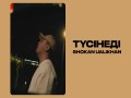 Tүsіnedі