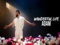 Wonderful Life