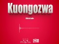 Kuongozwa