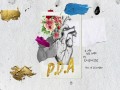 P.d.a