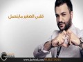 9Albi Al Saghir
