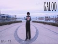 Galoo