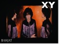 Xy