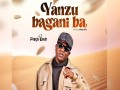 Yanzu Bagani Ba