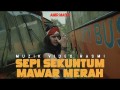 Sepi Sekuntum Mawar Merah