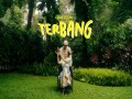 Terbang