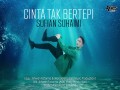 Cinta Tak Bertepi
