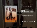 Gato