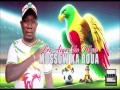 Les Aiges Du Mali