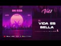 Vida Es Bella