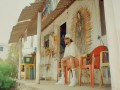 Alejandria / Ella Es Nostalgica
