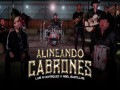 Alineando Cabrones
