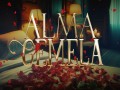 Alma Gemela