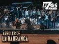 Árboles De La Barranca