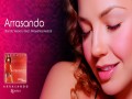 Arrasando Banda Version
