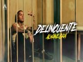 Delincuente