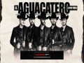 El Aguacatero
