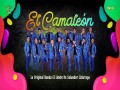 El Camaleón