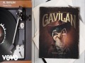 El Gavilán