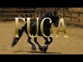 Fuga