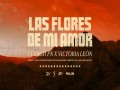 Las Flores De Mi Amor