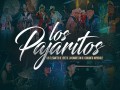 Los Pajaritos