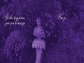 Luciérnaga