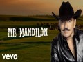 Mr Mandilón