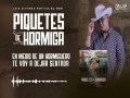 Piquete De Hormiga