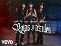 Rojas Y Azules