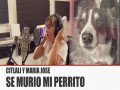 Se Murio Mi Perrito