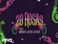 20 Rosas