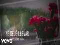 Me Dejé Llevar