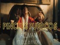 Pinches Puercos