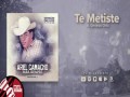 Te Metiste