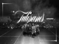 Tulipanes