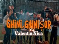Ghini,Ghinișor