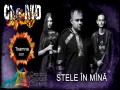 Stele Îm Mînă