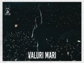 Valuri Mari