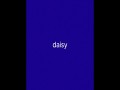 Daisy