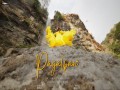 Pagalpan