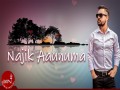 Najik Aaunuma