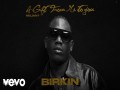 Birkin