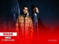 Maan