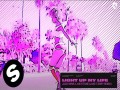 Light Up My Life (Jake Tarry Remix)