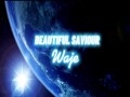 Beautiful Saviour