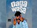 Daga Wasa