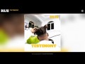 Testimony