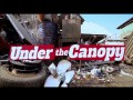 Under The Canopy
